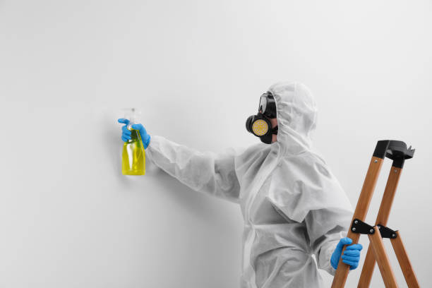 Why You Should Choose Our Mold Remediation Services in Athens, TX